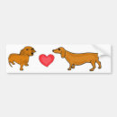 Buscar dachshunds pegatinas parachoque Perros