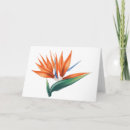 Buscar flores exóticas tarjetas Botánico