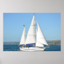 Buscar aletas posters General y unisex