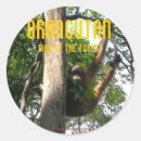 Buscar escondido postales Naturaleza