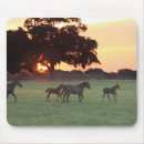 Buscar races alfombrillas de raton Caballo