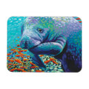 Buscar la derecha rectangulares imanes Costero