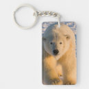 Buscar oso polar llaveros Fauna
