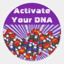 Buscar adn pegatinas Dna