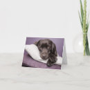 Buscar en blanco del perro tarjetas Cachorro