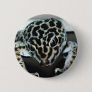 Buscar lepard Animal