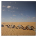 Buscar túnez azulejos África