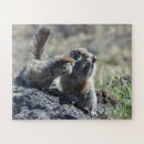 Buscar rodentia Animal