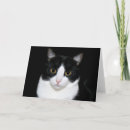 Buscar smoking tarjetas Gato del smoking