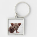 Buscar kat accesorios 9 º gata