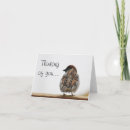 Buscar gorriones tarjetas Gorrión