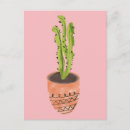 Buscar cactus postales Desierto