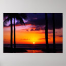 Buscar crepúsculo posters Palmas