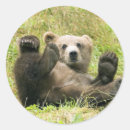 Buscar kodiak pegatinas Vida silvestre