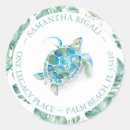Buscar tortugas marinas pegatinas Futura madre