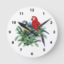 Buscar loros relojes de pared Macaws