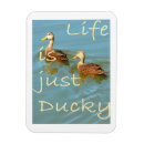 Buscar ducky imanes Naturaleza