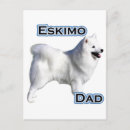 Buscar eskimos postales Americano