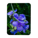 Buscar pajarita imanes Flor