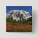 Buscar valle chapas Colorido