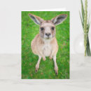 Buscar joey tarjetas Foto