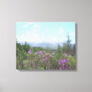 Buscar katahdin Parque estatal baxter