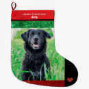 Buscar familia calcetines navideños Para mascotas