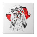 Buscar yorkie azulejos Lindo