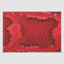 Buscar serpientes papel de seda General y unisex