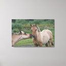 Buscar amante del caballo lienzos Naturaleza