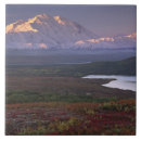 Buscar tundra azulejos Paisaje