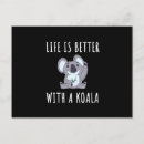 Buscar osos de koala postales Australia