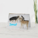 Buscar huskie postales Tarjeta