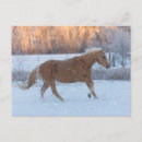 Buscar running postales Superstock