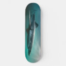 Buscar tiburones tablas de skate Para él