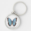 Buscar mariposas azules llaveros Animales