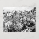 Buscar brazil postales Vintage