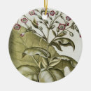 Buscar tabaco adornos Escuela