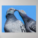 Buscar besos posters General y unisex