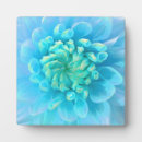 Buscar dalias decoracion Floral