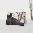 Buscar imágenes de caballos tarjetas Imagen de caballo