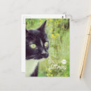 Buscar ojos de gato postales Negro