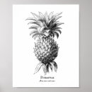 Buscar ilustracion de la piña posters Para todos