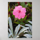 Buscar gotas de lluvia posters Flores