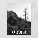 Buscar árboles en blanco y negro postales Fotografía