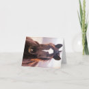 Buscar mustang tarjetas Caballo