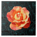 Buscar rojo claro azulejos Fondo