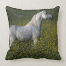 Buscar caballo árabe cojines Colocación