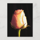Buscar romance verticales postales Negro