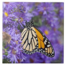 Buscar integral azulejos Primer